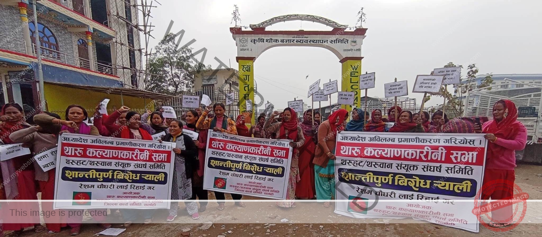 सरकारले ल्याएको अध्यादेश प्रमाणिकरणको माग गर्दै लालबन्दीमा थारु समुदायको प्रदर्शन